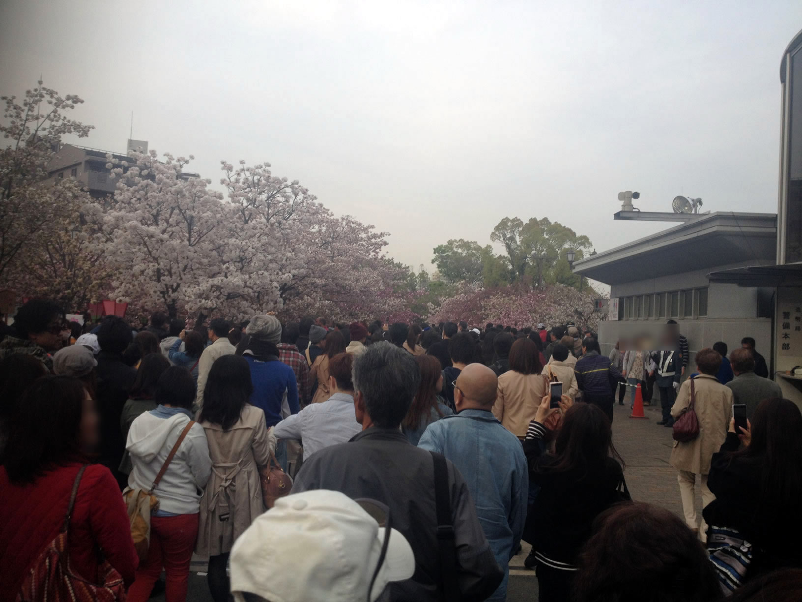 2014年の造幣局桜の通り抜け02 2014年の造幣局桜の通り抜け02